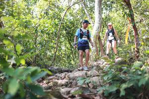 BIB: 
                            <button type="button" onclick="openModal(27702053)" class="btn btn-primary btn-sm float-right btn-popup" data-toggle="modal" data-target=".modal-high-quality">
                        <i class="fas fa-shopping-cart"></i> Add to Cart
                    </button>
                                            <button type="button" onclick="isThisMe(27702053, true)" class="btn btn-success btn-sm float-right btn-popup btn-isme hidden" data-toggle="tooltip" data-placement="bottom" title="นี่คือรูปของคุณใช่ไหม คลิกที่นี่เพื่อเอาเข้าอัลบั้ม">
                        <i class="fas fa-plus"></i> Add to album
                    </button>
                    <button type="button" onclick="isThisMe(27702053, false)" class="btn btn-warning btn-sm float-right btn-popup btn-isnotme hidden">
                        <i class="fas fa-ban"></i> Remove from album
                    </button>